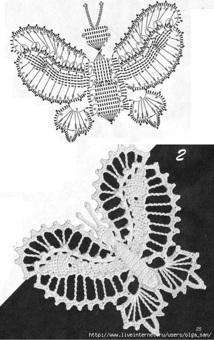 36 motyl (441x700, 194Kb)