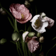 flowers1 (110x110, 44Kb)
