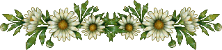 3821971_romashki (319x72, 12Kb)