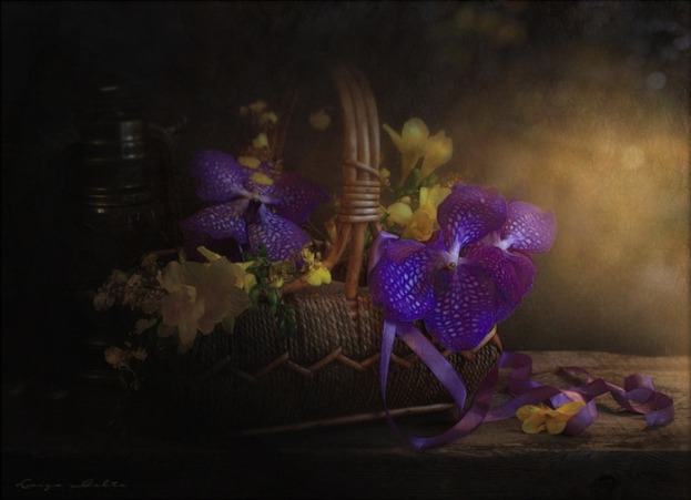 4494524_68126292_624519_large (623x451, 50Kb)