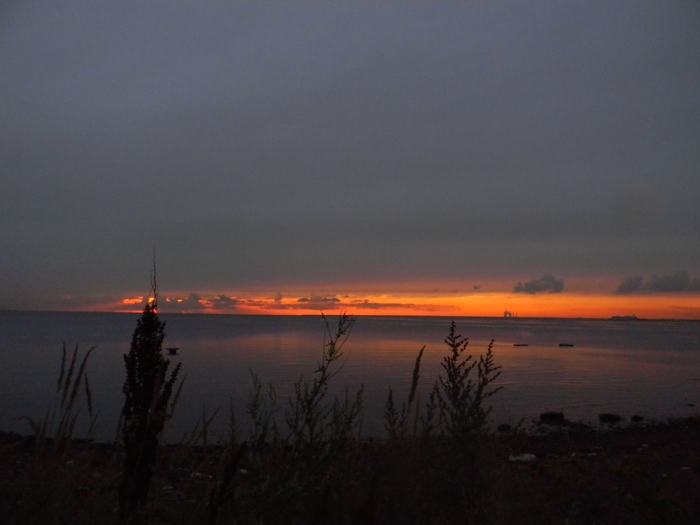 3014304_DSCN2292 (700x525, 171Kb)