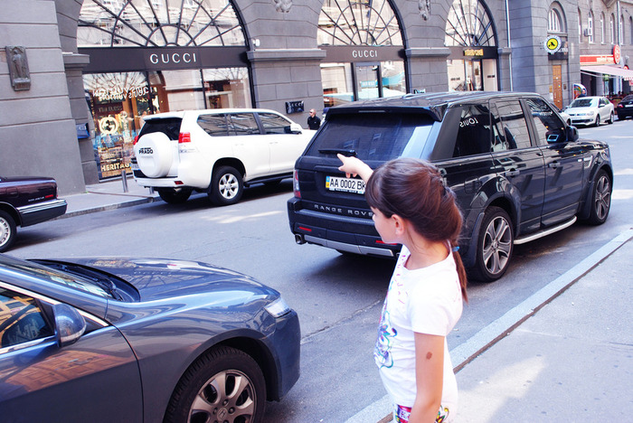 DSC_0391 (700x468, 162Kb)