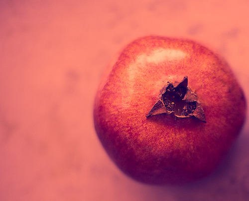pom-edit-2373_large (500x403, 49Kb)