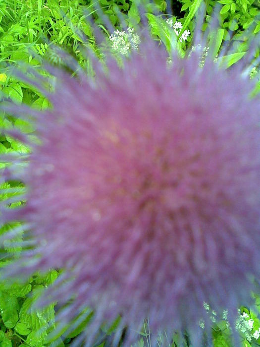 035 (525x700, 57Kb)
