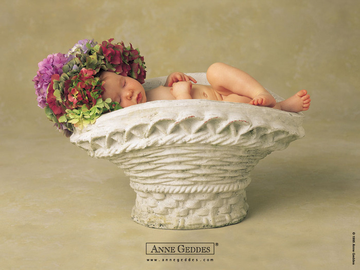 Child by Anne Geddes 33 (700x525, 99Kb)