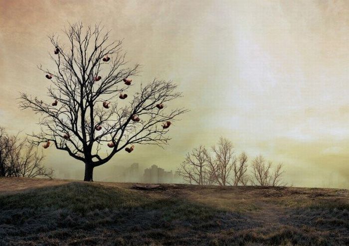 creativ4 (700x494, 60Kb)
