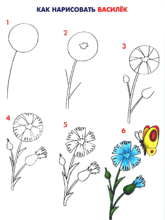 Как нарисовать розу за 10 простых шагов