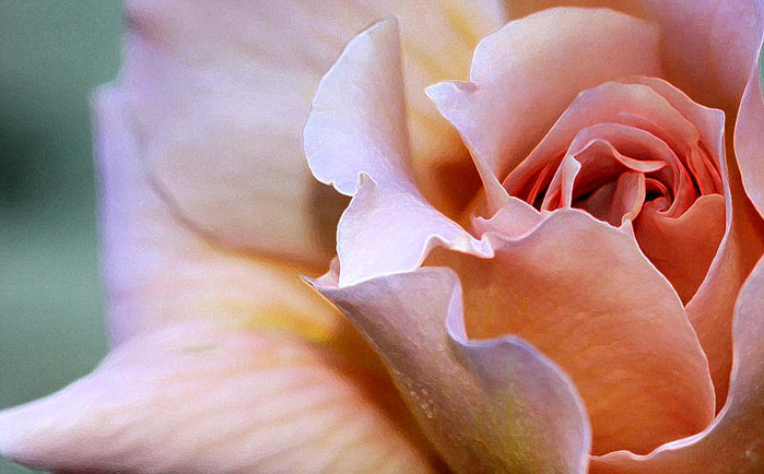 0_1f906_41a77e37_XL (700x434, 106Kb)