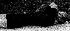 11775_60533277 (230x103, 8Kb)