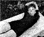 11775_60533282 (145x123, 9Kb)