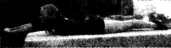 11773_58414289 (343x97, 12Kb)