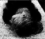  11773_58414297 (175x149, 9Kb)