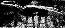 11780_61562214 (231x101, 10Kb)