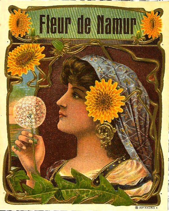 2FLEUR-DE-NAMUR (550x684, 126Kb)