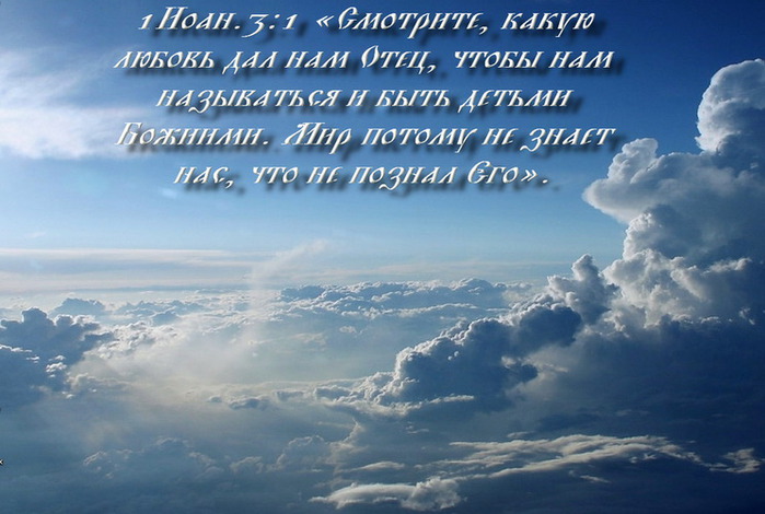 1289852463 (700x470, 96Kb)