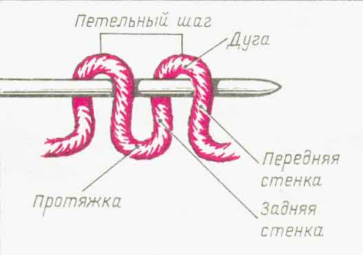 Задняя стенка петли