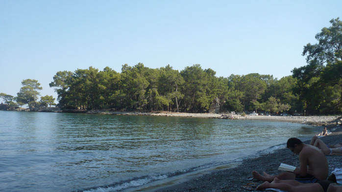 P1100510 (700x393, 97Kb)