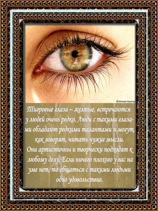  (525x700, 259Kb)