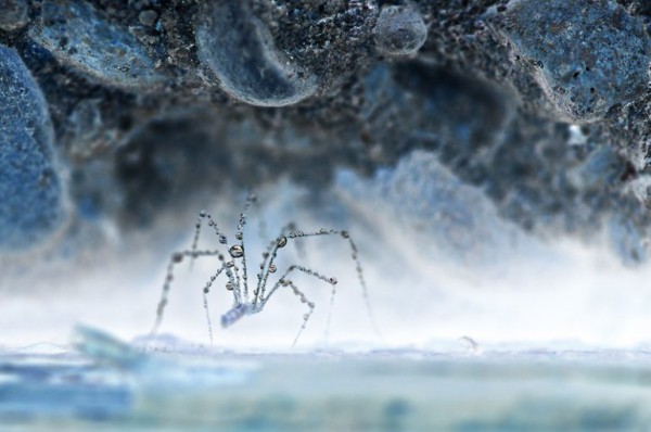 1314541869_68402470_003 (600x398, 50Kb)