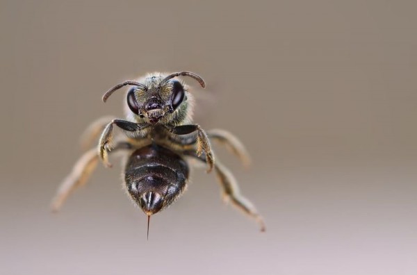 1314603916_62633035_016 (600x396, 21Kb)