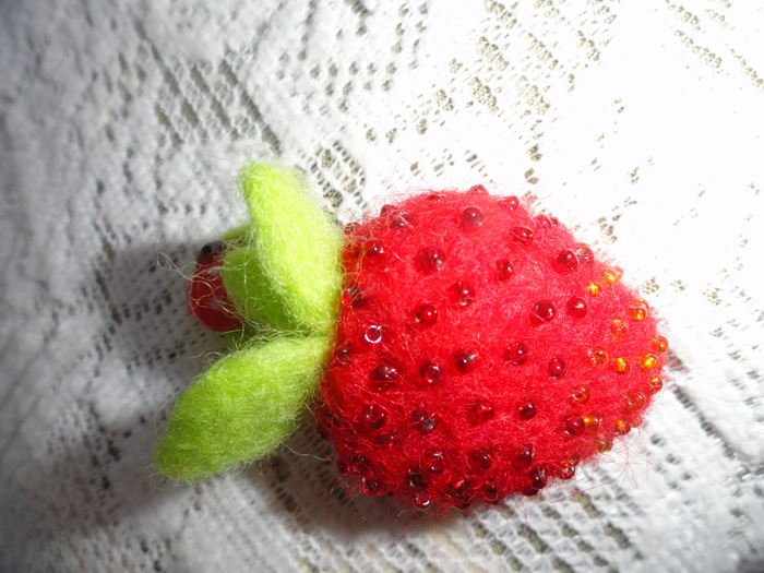 DSC01004 (700x525, 446Kb)