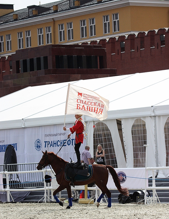 1109989_1IMG_6622 (540x700, 326Kb)