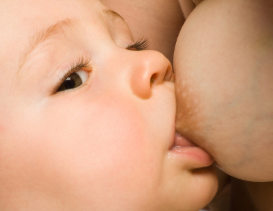 breastfeeding-1 (394x305, 81Kb)