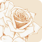 3663098_title8056030211 (145x145, 32Kb)
