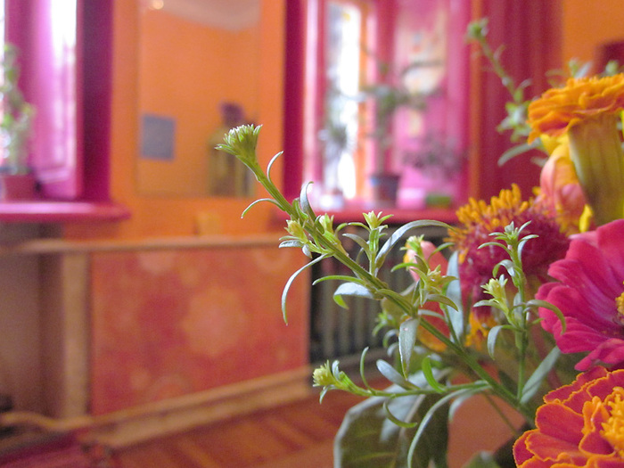 IMG_8793 (700x525, 147Kb)