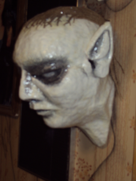 DSC00220 (525x700, 187Kb)