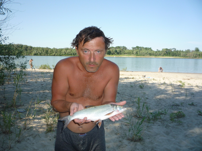 P1020239 (700x525, 283Kb)