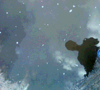 Liv2 (199x178, 16Kb)
