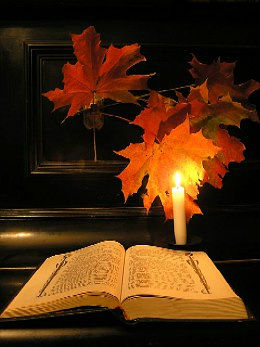 getImage (260x347, 22Kb)