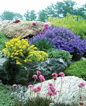 alpine_garden_15 (300x372, 96Kb)