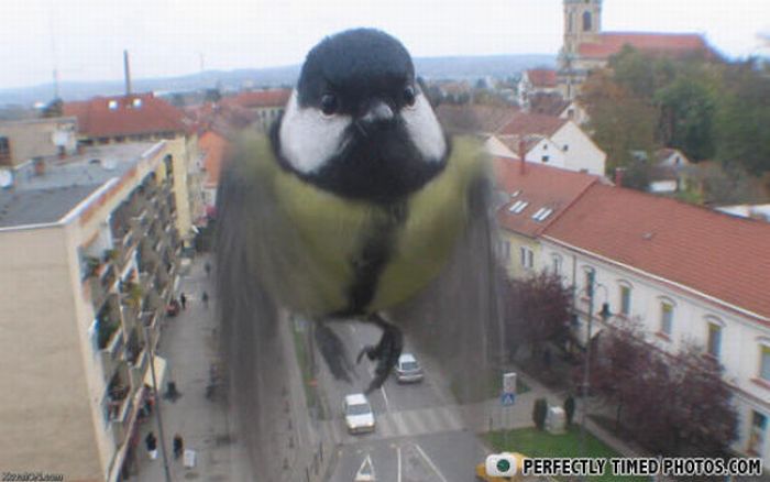  (700x438, 39Kb)