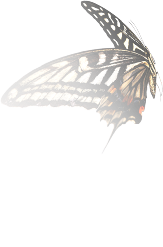 0_69464_3c95f46f_L.jpg (330x500, 125Kb)