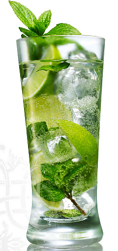 mojito (240x510, 47Kb)