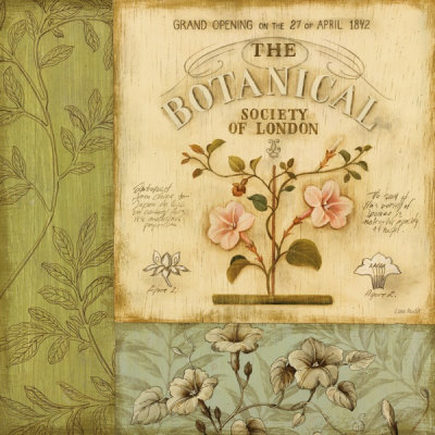 audit-lisa-botanical-exhibit-i (400x400, 51Kb)