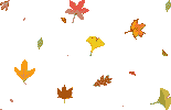 th_leaves (155x100, 17Kb)