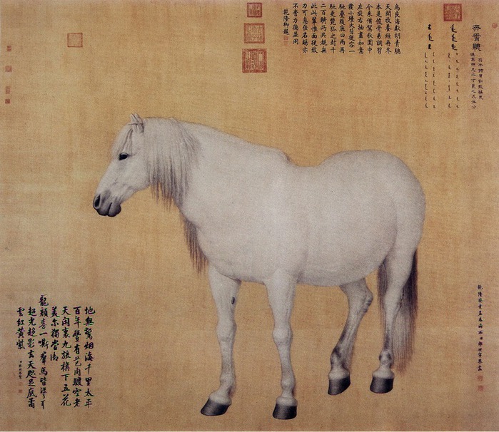 Horse_Benxiaocong (700x606, 137Kb)