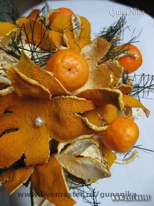 Как вырастить сочный апельсин из косточки в домашних условиях
