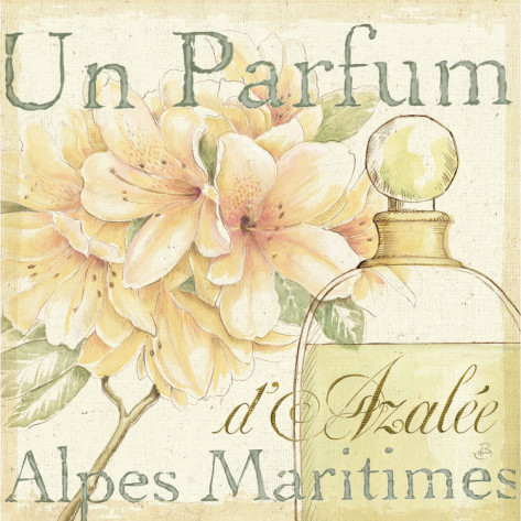 daphne-brissonnet-fleurs-and-parfum-iii (473x473, 89Kb)