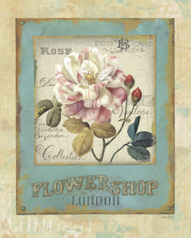 daphne-brissonnet-flower-shop-i (392x488, 68Kb)