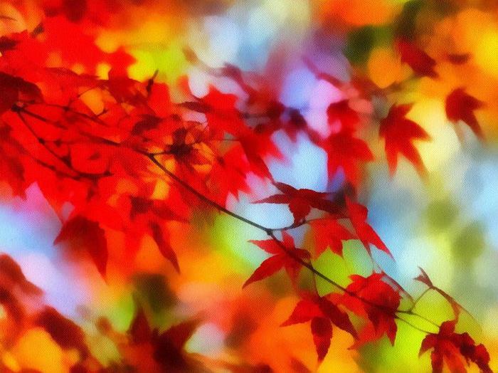 01_autumn_ (700x524, 57Kb)