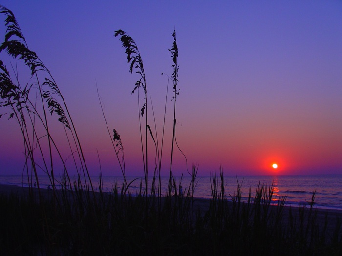 1901311_Sunrise_Myrtle_Beach_South_Carolina_1_1024x768 (700x525, 86Kb)