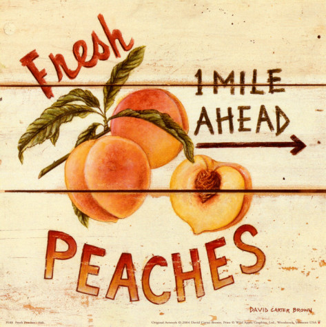 david-carter-brown-fresh-peaches (473x474, 92Kb)