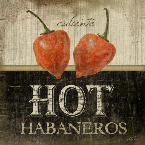 jennifer-pugh-hot-habaneros (473x473, 92Kb)