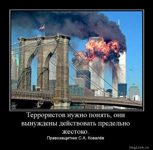 462216ba948544f36233c4b16cf9a63f (491x480, 54Kb)