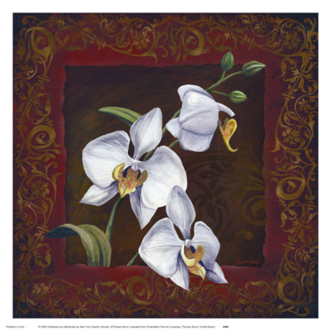 thomas-wood-orchid-study-i (473x473, 74Kb)