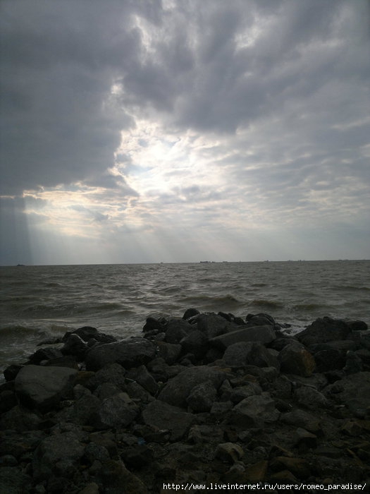 11092011374 (525x700, 143Kb)